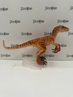 Mattel Jurassic World Amber Collection Tiger Velociraptor