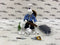 NECA TMNT Cartoon Usagi Yojimbo