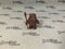 Kenner Vintage Star Wars Wicket