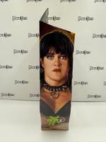 Mattel WWE Elite Collection Legends DX Series 14 Chyna