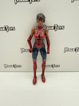 Hasbro Marvel Legends Spider-Man Spider-Girl Ashley Barton