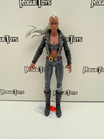 Hasbro Marvel Legends Blackheart Wave Blood Storm
