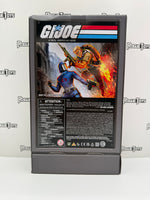 Hasbro G.I. Joe A Real American Hero (ARAH) Duke vs. Cobra Commander