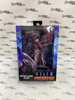 NECA Alien Vs Predator Razor Claws Alien