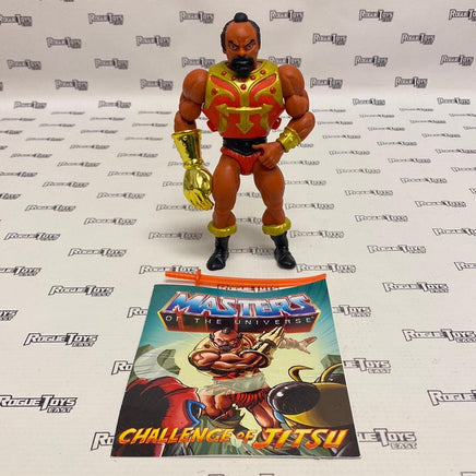 Mattel Masters of the Universe Origins Jitsu - Rogue Toys