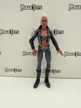 Hasbro Marvel Legends Bloodstorm