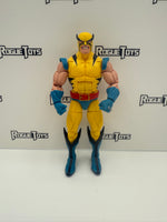 Hasbro Marvel Legends Wolverine from 80th Anniversary 2-Pack