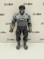 Hasbro Marvel Legends GamerVerse Gray Hulk