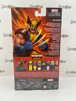 Hasbro Marvel Legends Bonebreaker Series X-Men Wolverine