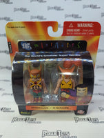 Diamond Select DC Minimates Series 5 Hawkman & Hawkgirl Two Pack