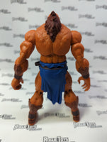 Mattel Masters of the Universe Masterverse Beast Man