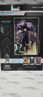 DC Multiverse Robin Earth-22 Robin Crow Dark Nights Metal