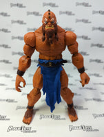 Mattel Masters of the Universe Masterverse Beast Man