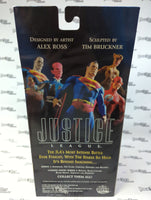 DC Direct Justice League designed by Alex Ross Series 1 Cheetah