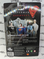 DC Direct Superman/Doomsday Superman