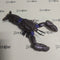 Hasbro Transformers Beast Wars- Sea Clamp