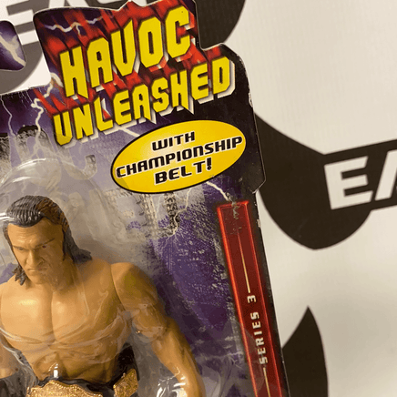 JakksPacific WWE Havoc Unleashed Triple H - Rogue Toys